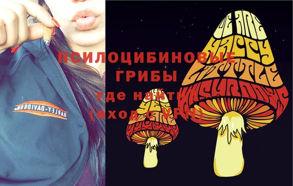 тгк Баксан